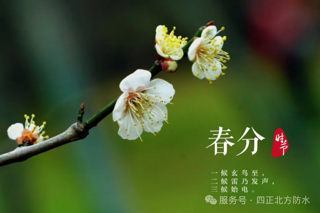 6401.webp.png